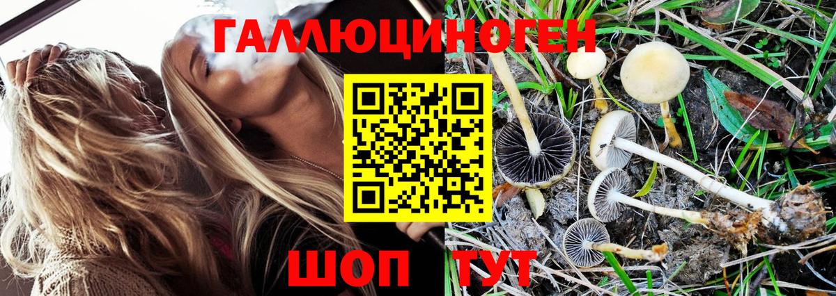 Галлюциногенные грибы MAGIC MUSHROOMS Отрадный
