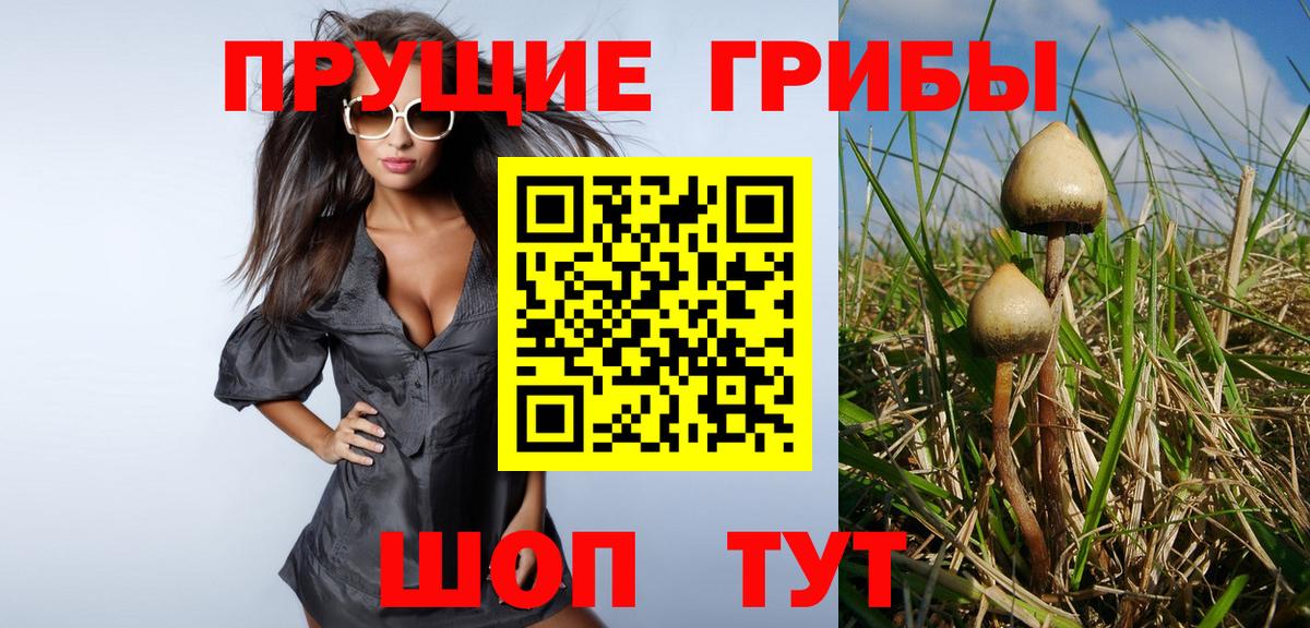 Галлюциногенные грибы MAGIC MUSHROOMS  Галлюциногенные грибы Psilocybine cubensis  Вход с VPN  Отрадный 